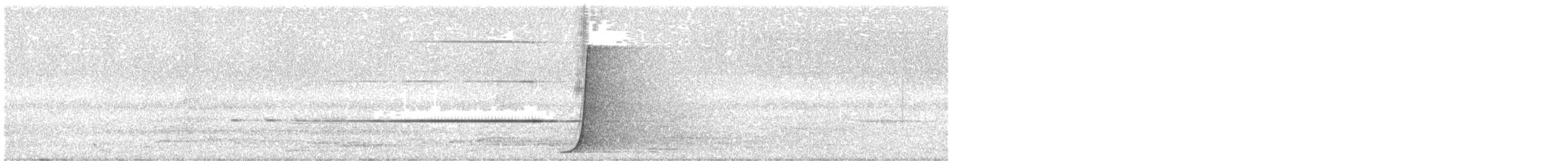 Psophode à tête noire - ML613024673