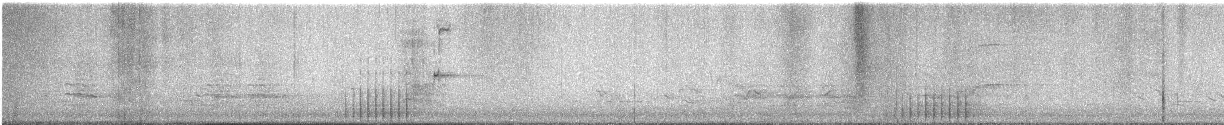 strakapoud osikový - ML613028844