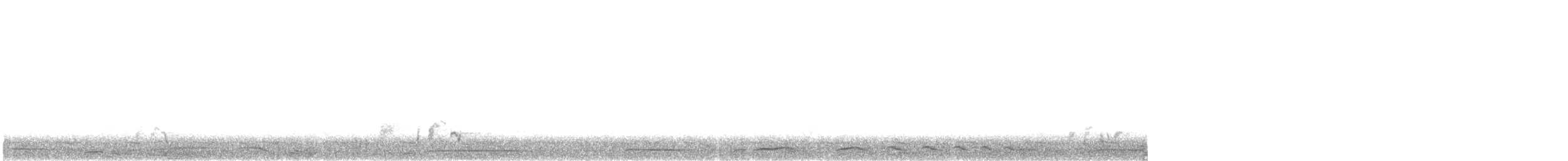holub klínoocasý - ML613029664