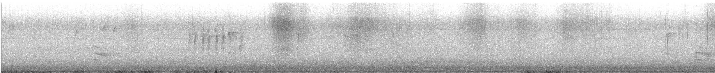 Weißbrustkleiber - ML613031722