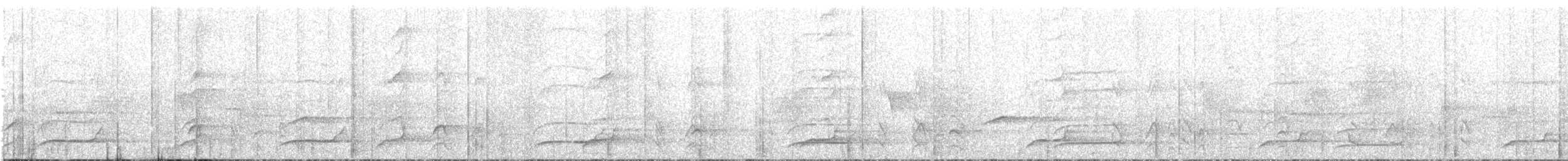 sokolík bělokostřečný - ML613032030