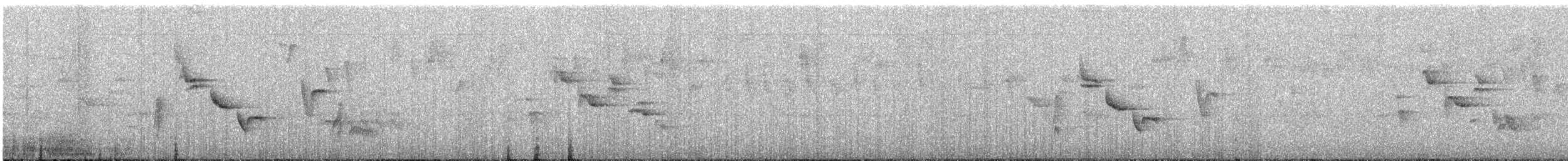 Зернолуск великий - ML613034998