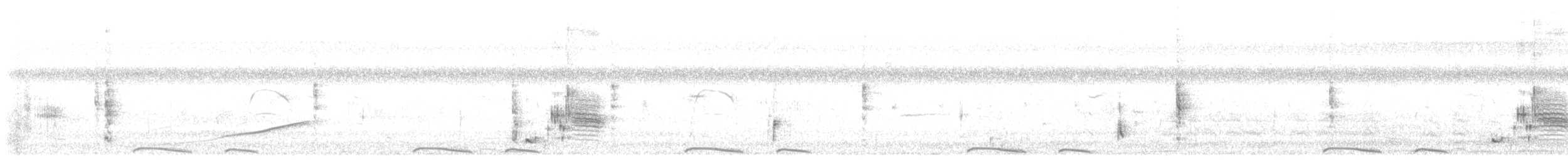 holoubek mexický - ML613035092