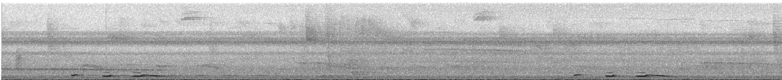 holub šedorůžový - ML613036296