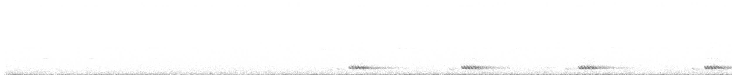 White-cheeked Barbet - ML613036781