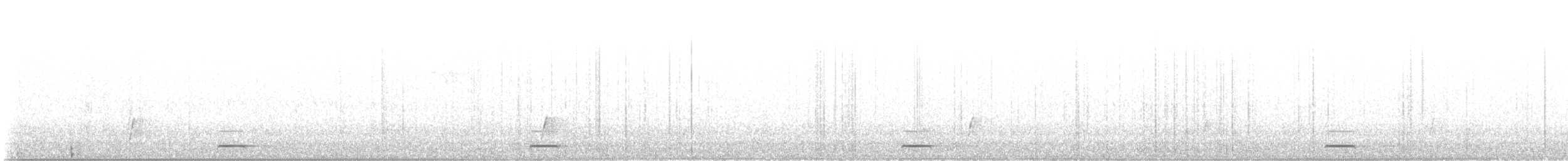Сичик-горобець гірський [група californicum] - ML613041005