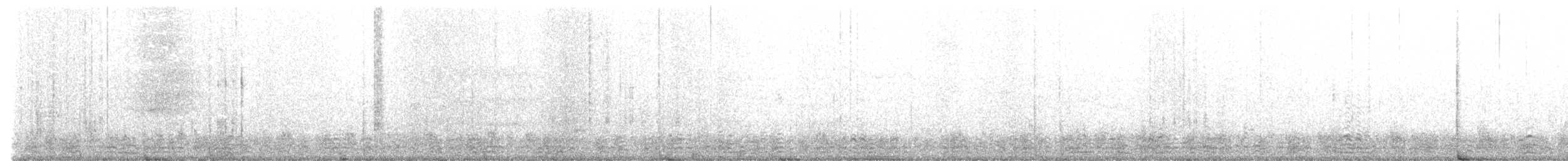 berneška tmavá (ssp. bernicla) - ML613043577