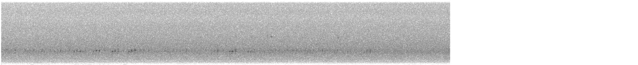 Сипуха крапчаста [група tuidara] - ML613043807