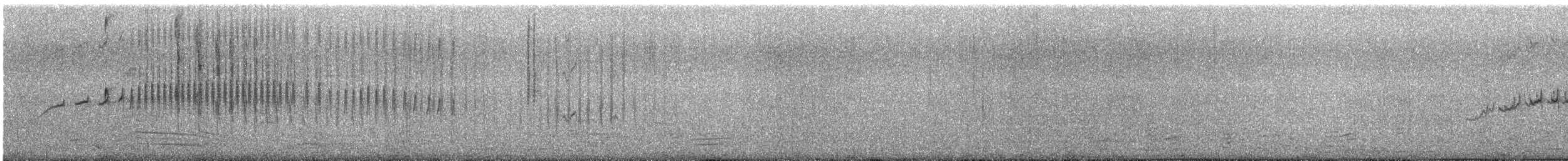 Dark-bellied Cinclodes - ML613045530