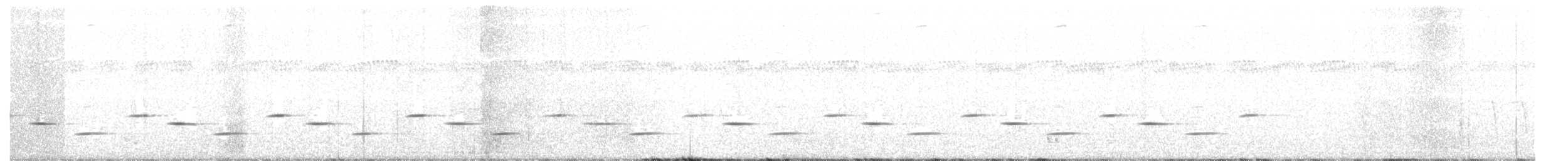 Psophode carillonneur - ML613045932