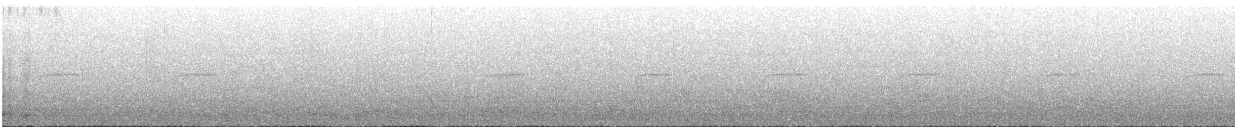 Чачалака цяткована - ML613047315