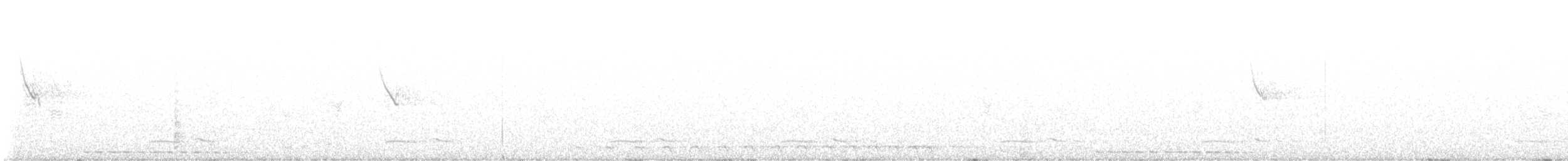 Western Screech-Owl - ML613047712