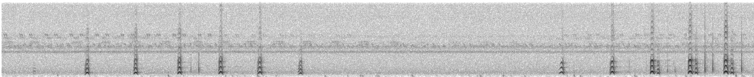 Western Screech-Owl - ML613049748