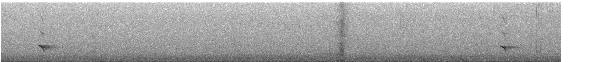 Тиран-малюк північний - ML613050609