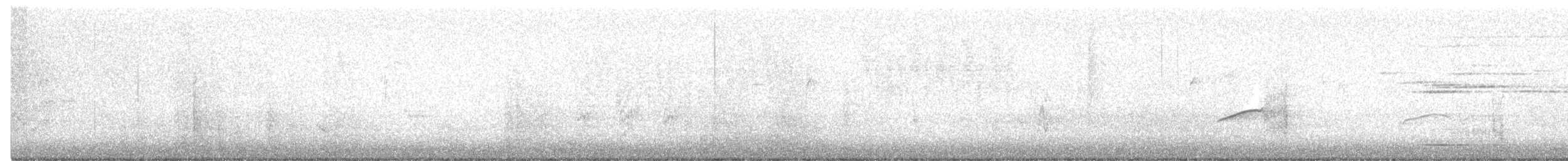 White-tailed Kite - ML613051798
