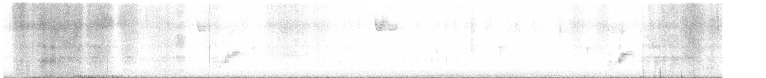 Светлобрюхий фиби - ML613052891