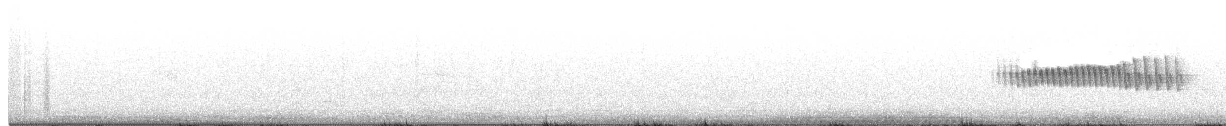 Orange-crowned Warbler - ML613054223