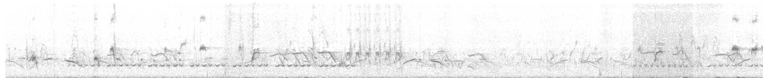 Méliphage à bavette - ML613057813