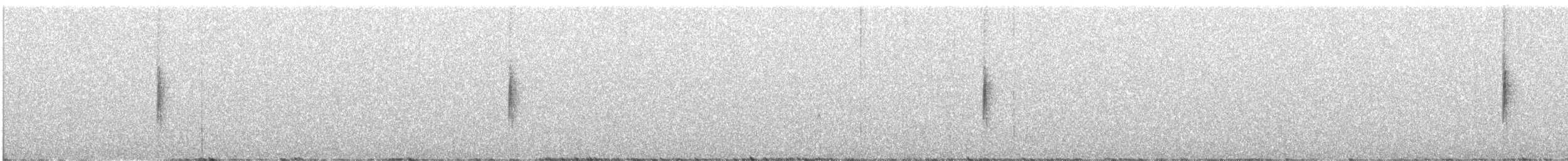 Reinita Coronada (coronata x auduboni) - ML613059345