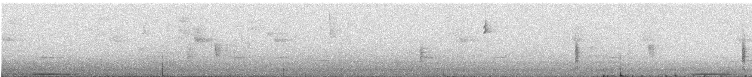 Çizgili Bıldırcın Kumrusu - ML613059417