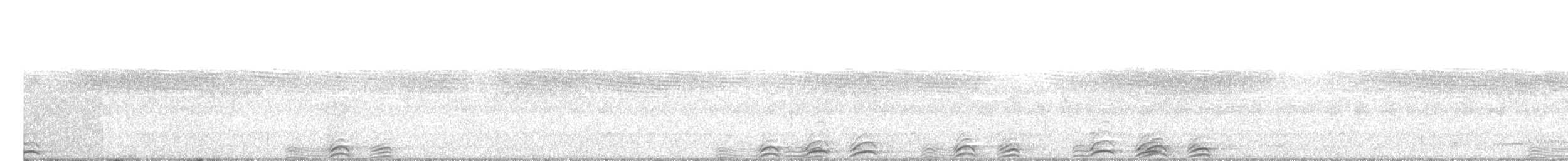 Сова-голконіг плямиста - ML613063773