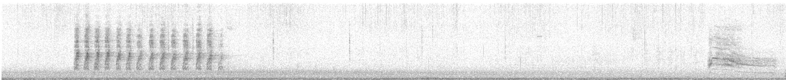 Steller Kargası - ML613063815