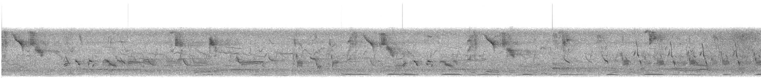 מין לא מוכר - ML613064387