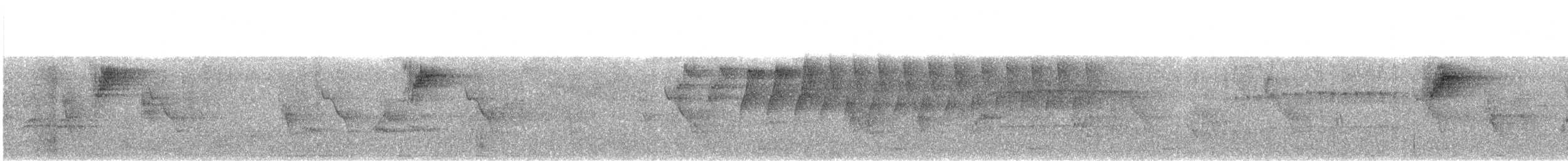 Атласная нектарница - ML613065244