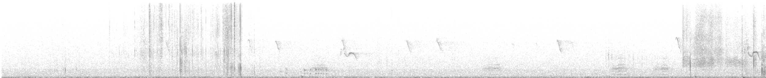 Чернітка білокрила - ML613068171