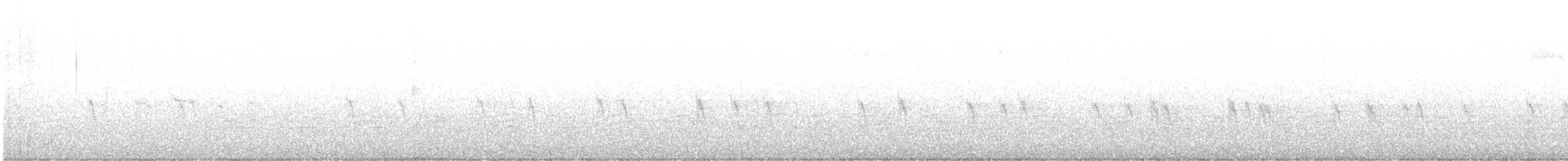 Шишкар ялиновий - ML613068822