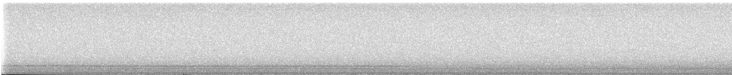 Сичик-горобець перуанський - ML613070240