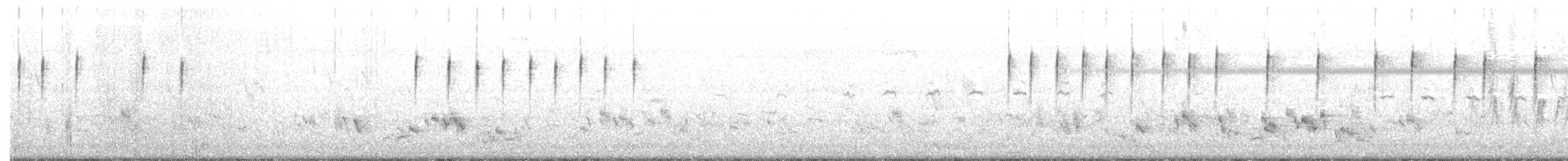 Золотистая цистикола - ML613078140