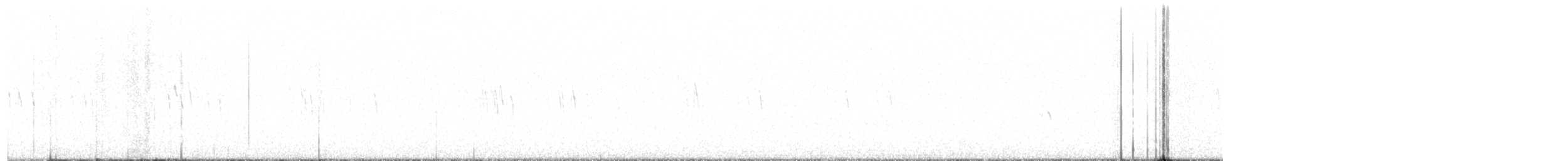 Plectrophane à ventre gris - ML613080338