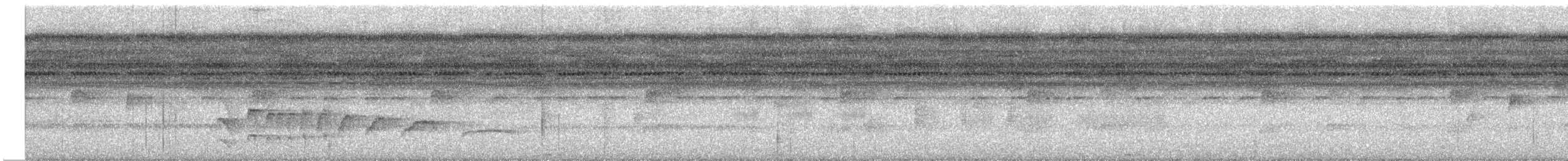 Темнохвостый плосконос - ML613082297