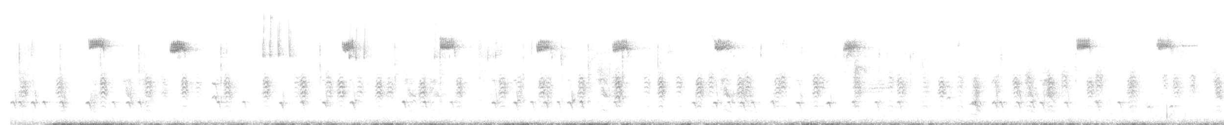 Шишкар ялиновий - ML613088652