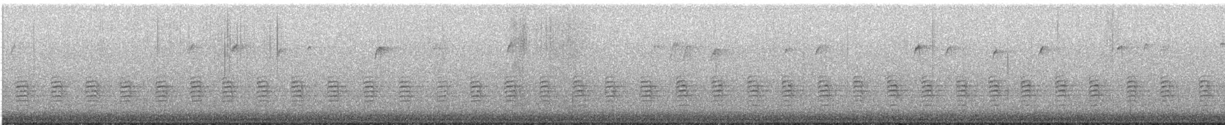 Sittelle à poitrine rousse - ML613089153