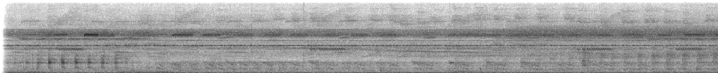 gråvingetrompetfugl (napensis) - ML613103489