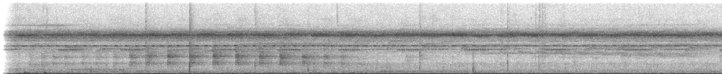 gråvingetrompetfugl (napensis) - ML613103759