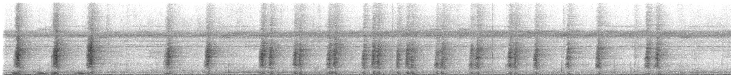 gråvingetrompetfugl (napensis) - ML613103790