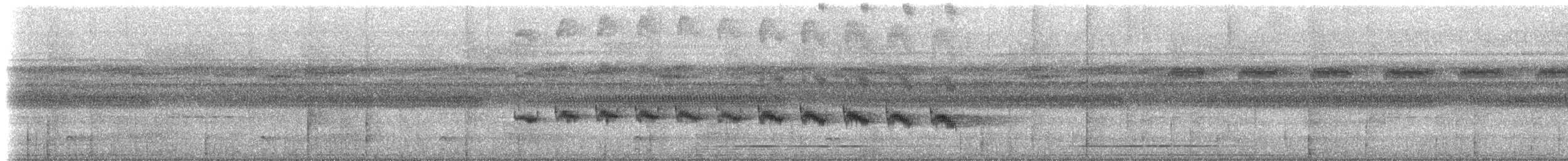 Tinamou à gorge blanche - ML613103847