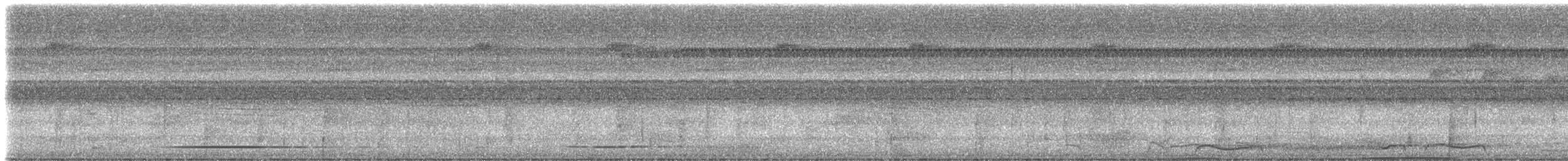 White-throated Tinamou - ML613104401