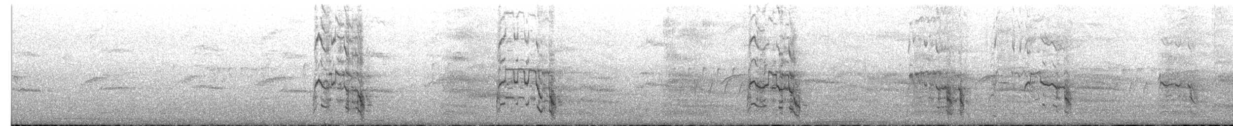 Mouette argentée (scopulinus) - ML613105202