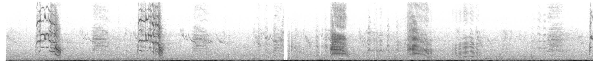 Mouette argentée (scopulinus) - ML613105204