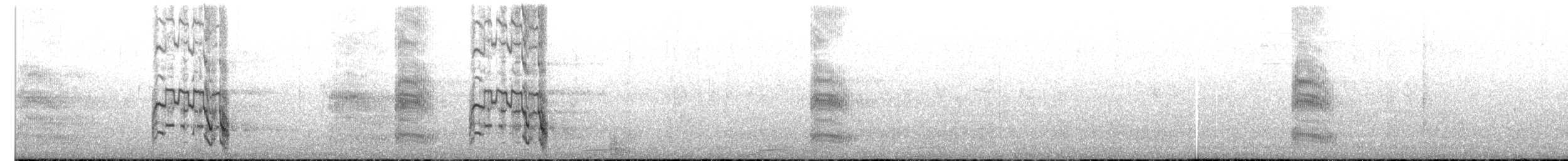 ギンカモメ（scopulinus） - ML613105205