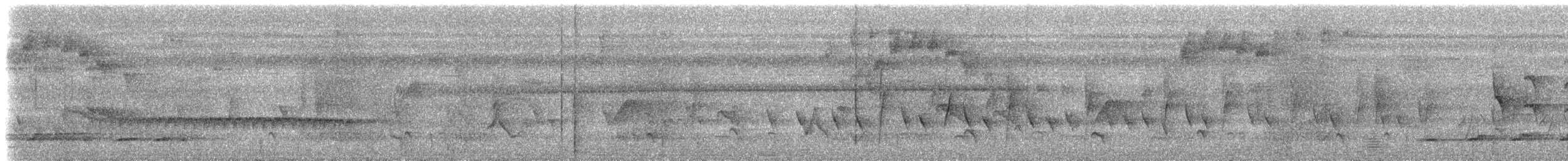 Microbate à long bec (groupe melanurus) - ML613105848