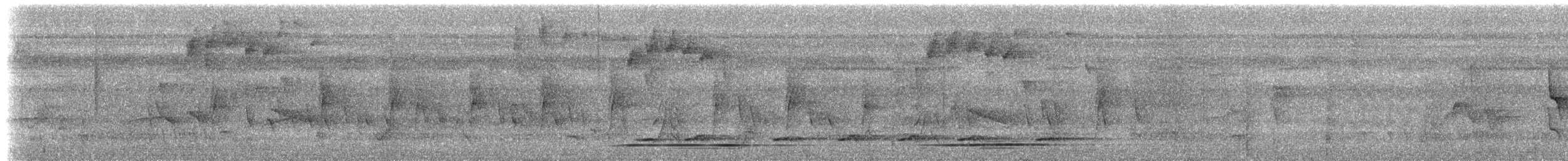White-throated Tinamou - ML613105854