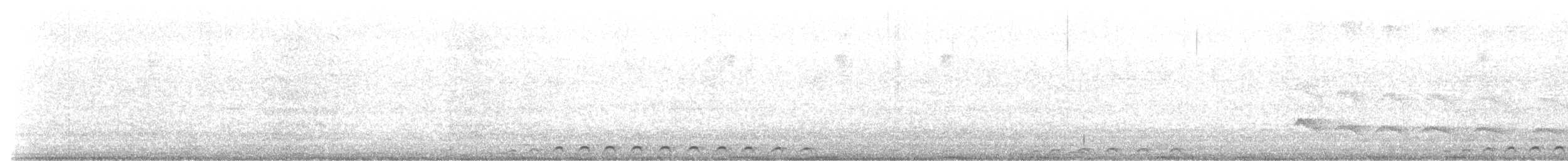 Сплюшка неотропічна - ML613106328