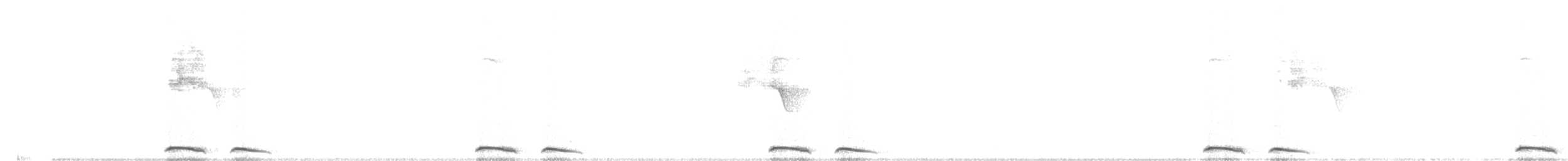 Инкская земляная горлица - ML613106660
