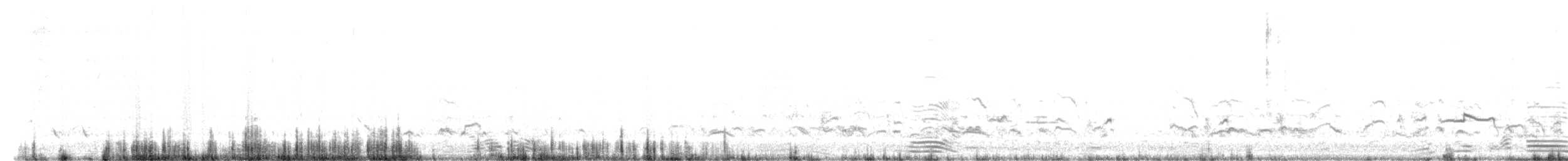 太平洋金斑鴴 - ML613107502