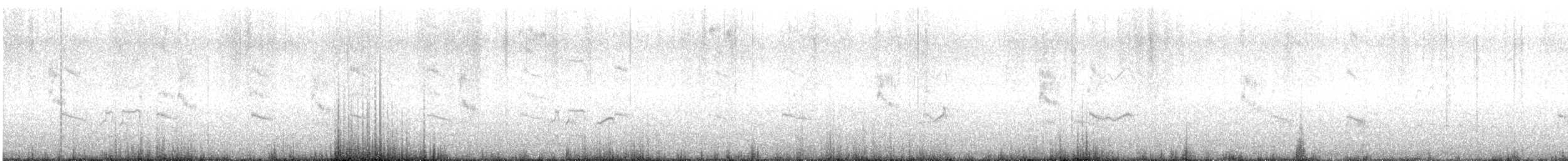 Gray-tailed Tattler - ML613109622